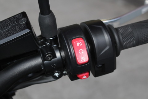 トライアンフ TRIDENT 660 スイッチ