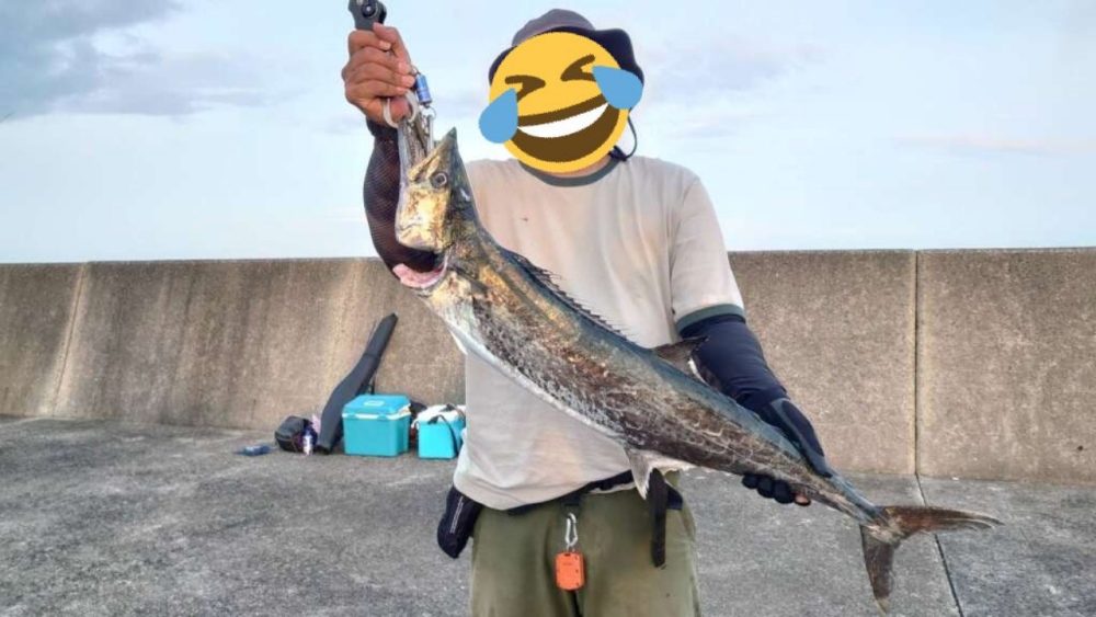 鰆ブツ持ち