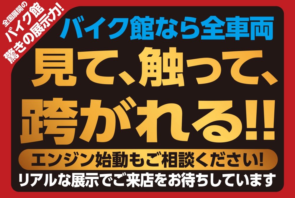 田舎のお祭り【引取限定商品】 BOOK MARKET ブックマーケット ブックマーケット住之江店 ブック