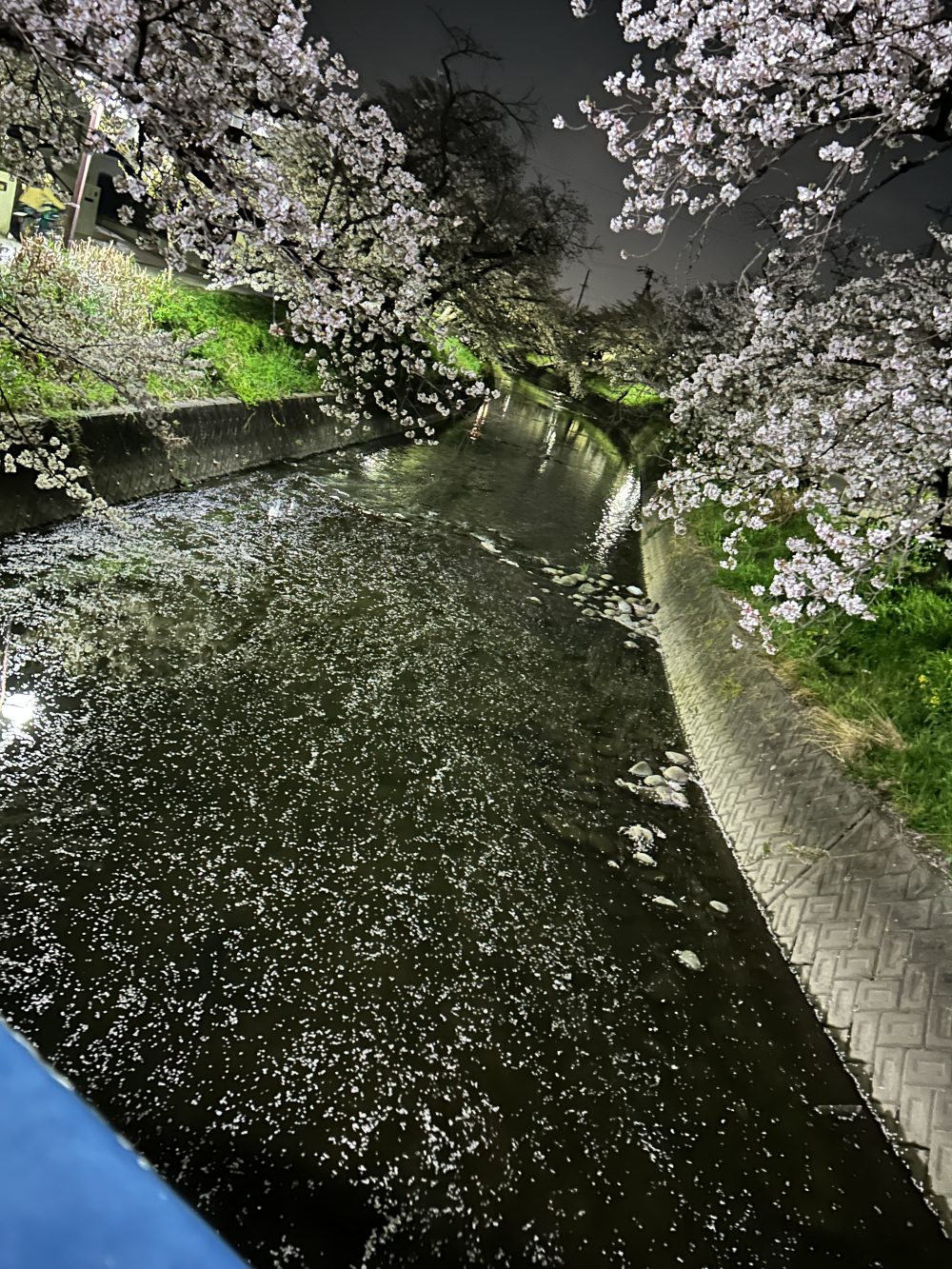 小牧市の皆様初めまして自己紹介させて下さい！