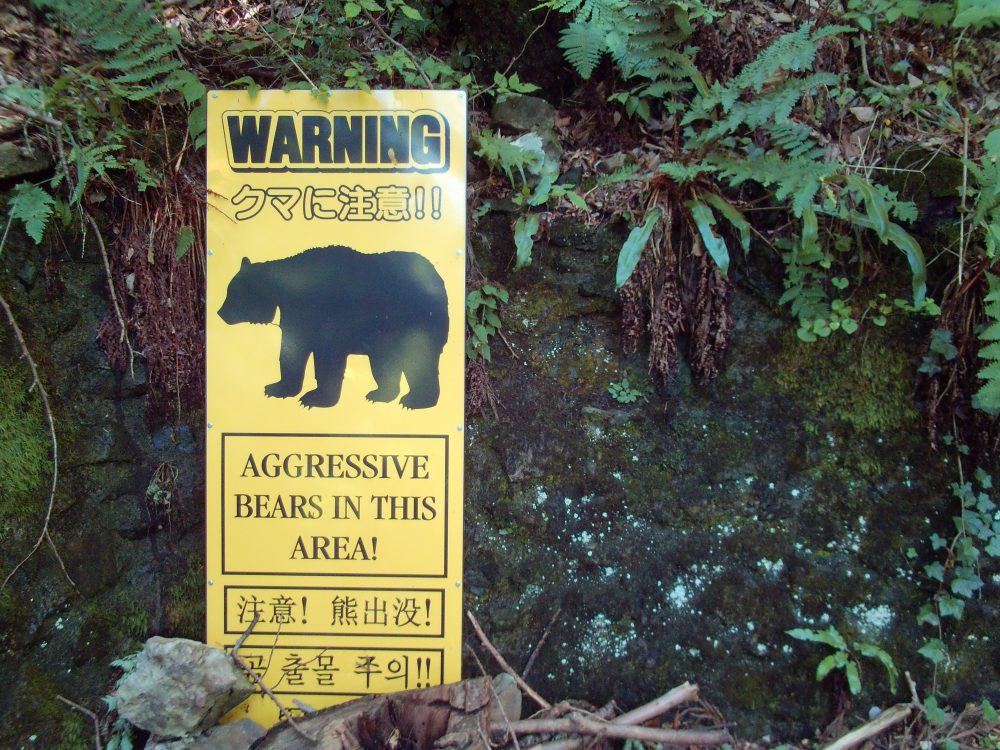 クマ出没注意！