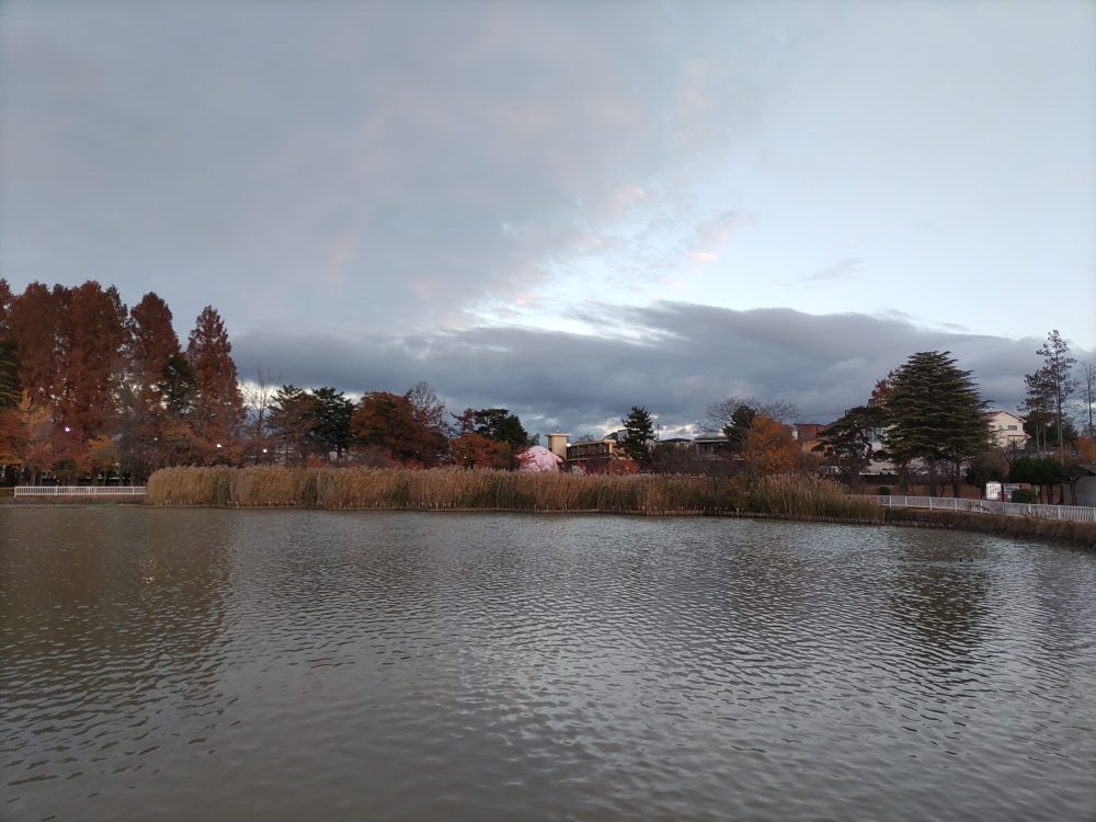 草むら＆ラッキー