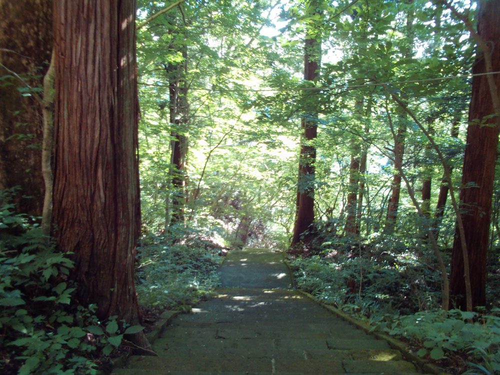 なんも見えぬー