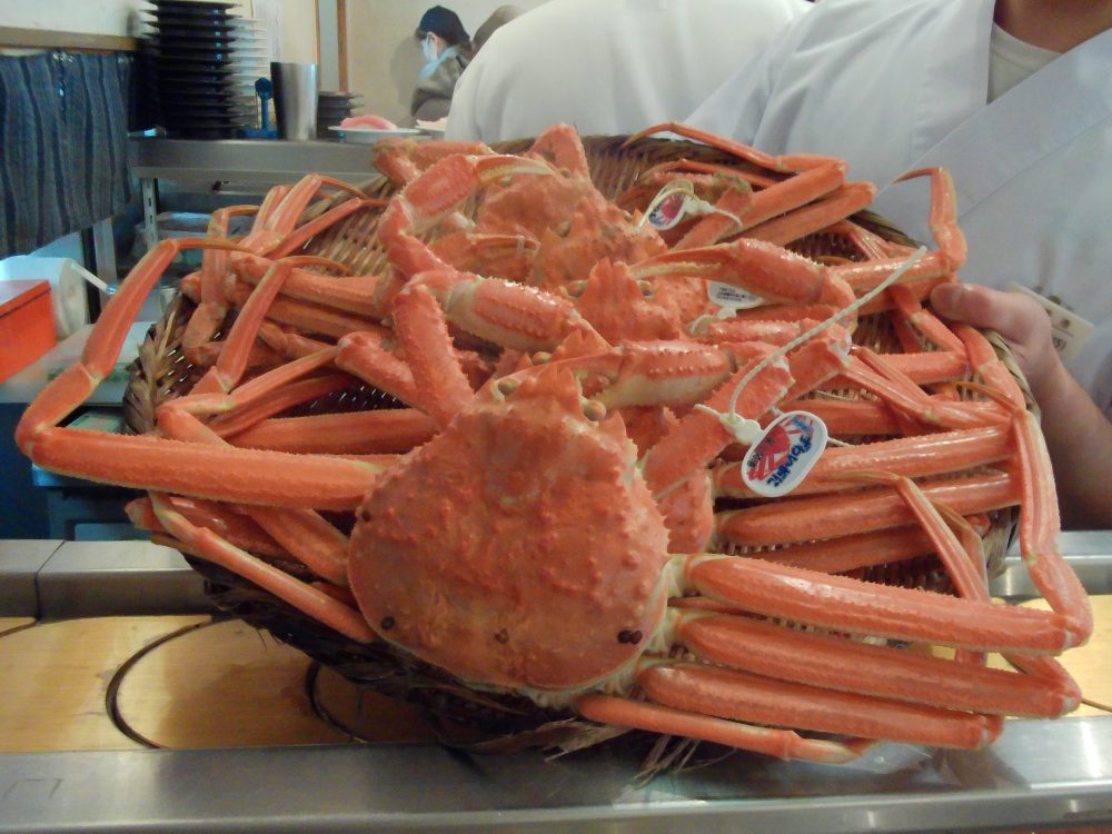 かにかにどこかに？(カワサキ ZX-10R SE)