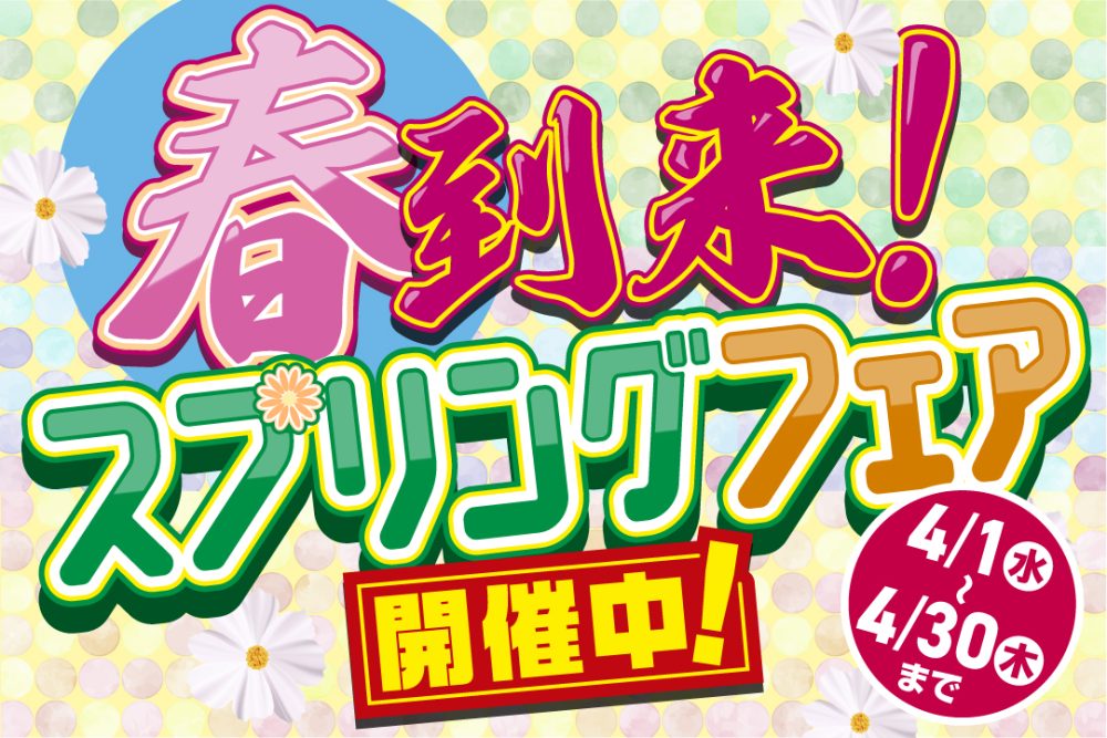 スプリングフェア開催中！！　輸入新車原付　新基準原付　原付二種店頭展示中！！