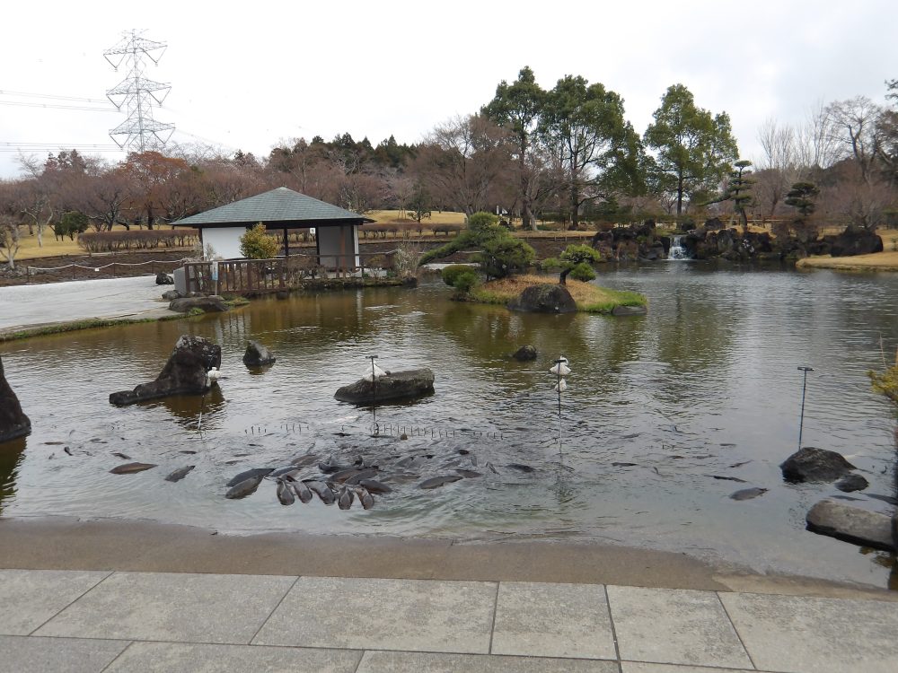 本願荘厳の庭