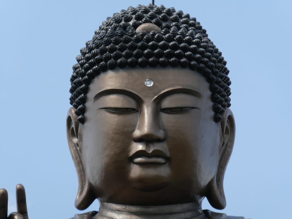 愛子大仏その9
