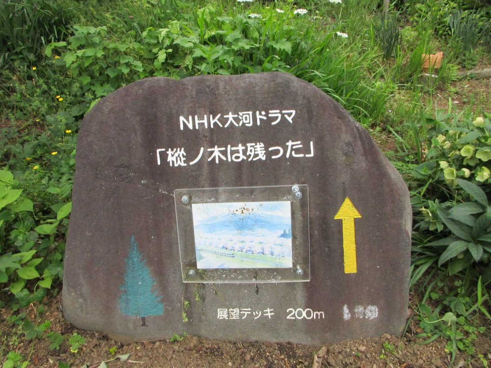 樅ノ木は残ったその1