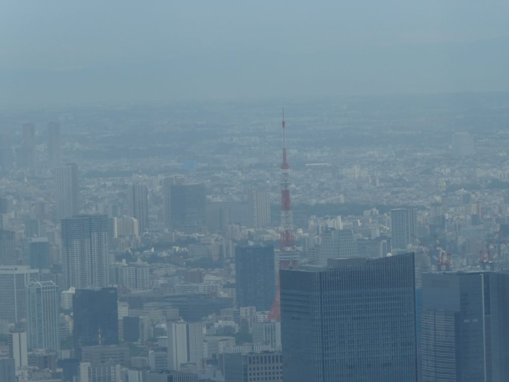 東京タワー(たぶん)