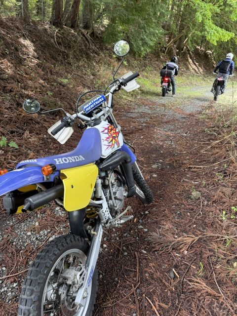 林道に行こう！　【ヤマハ　セロー250】