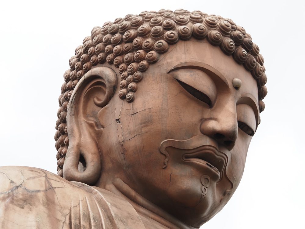 聚楽園大仏頭部