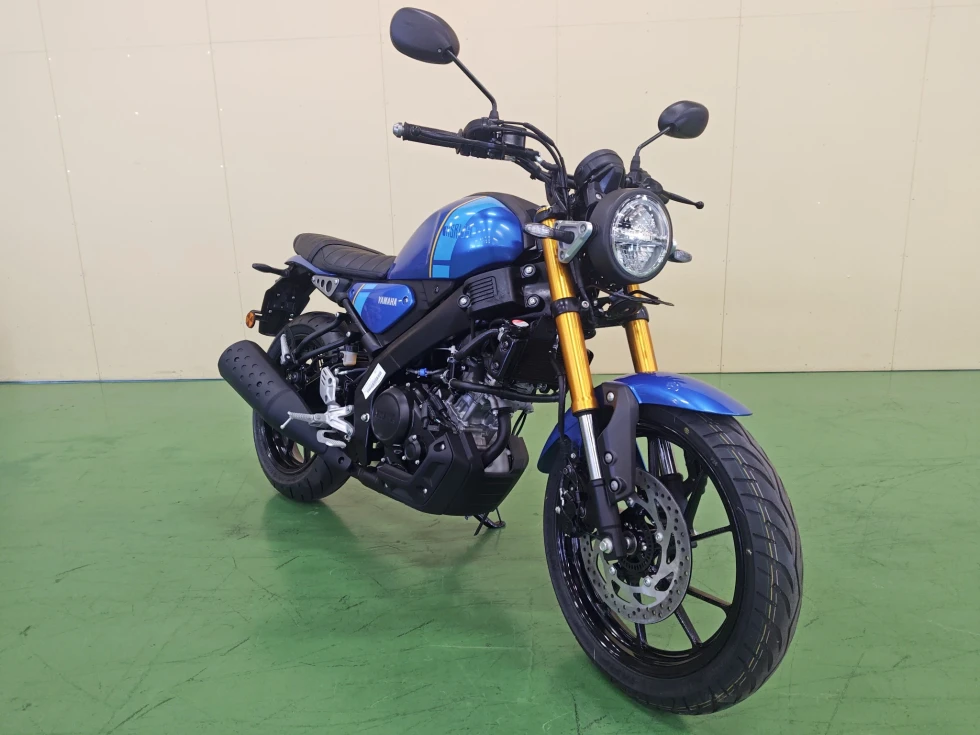 ブルーメタリック