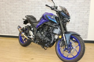 MT-25