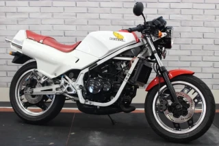 NS250F
