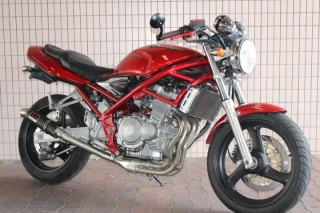 BANDIT 250