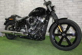 FXBB Street Bob
