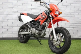 XR50 Motard