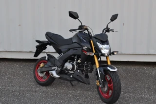 Z125 PRO