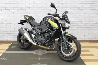 Z250