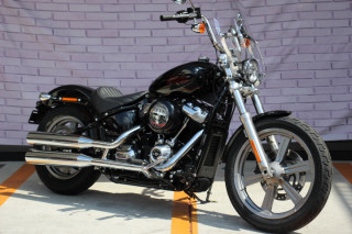 FXST Softail Standard