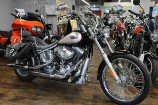 FXSTC Softail Custom