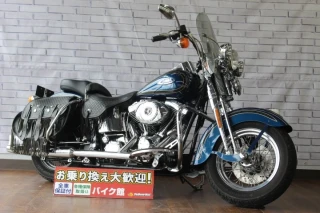 FLSTS Heritage Springer