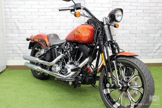 FLSTSB Softail Cross Bones