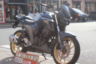 FZS25 ABS