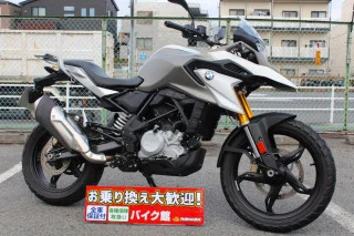 G310GS