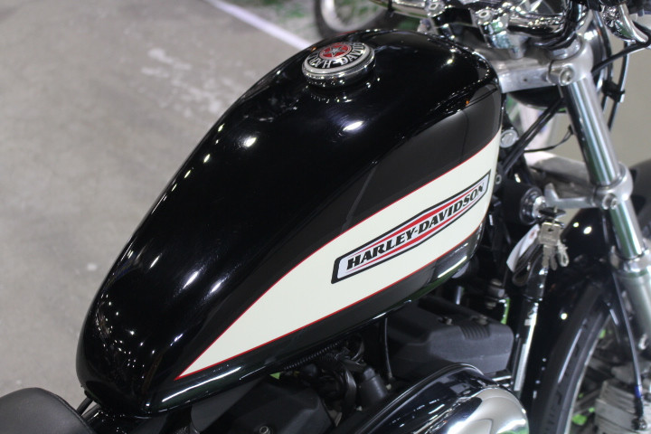 ハーレーダビッドソン XL1200R Roadster ETC、サイドバッグの