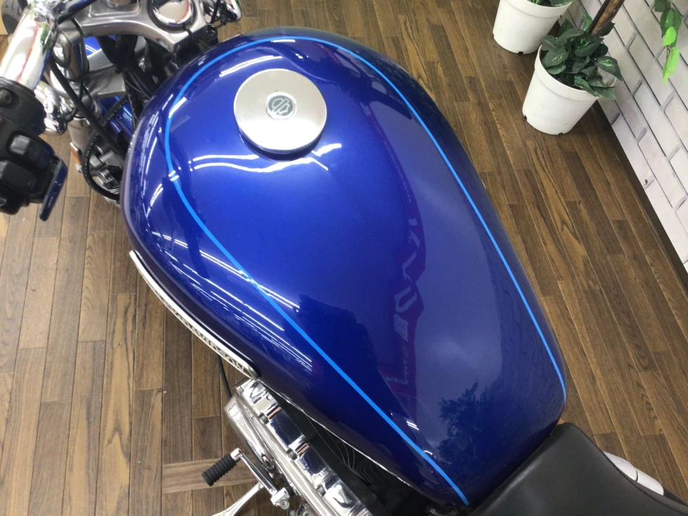 ハーレーダビッドソン XL1200 Low 【2009年モデル】デタッチャブル