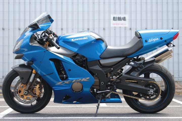 カワサキ ZX-12R ETC、ストライカー製バックステップ